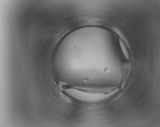 X0000067470481200604281858