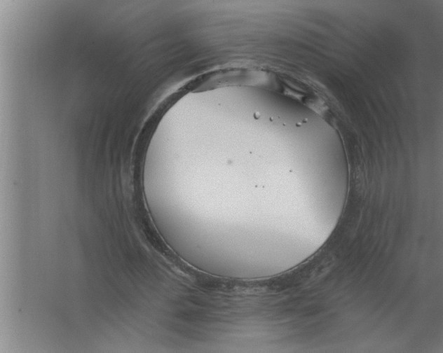 X0000067470484200604281858