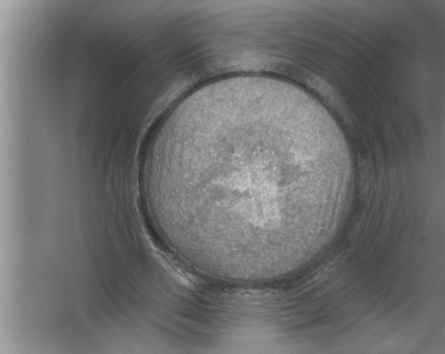 X0000067470486200604281858