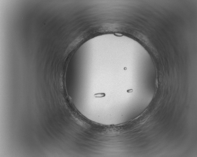 X0000067470489200604281858