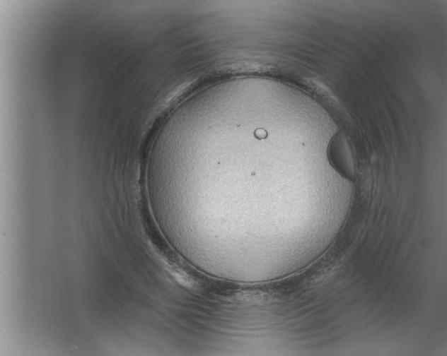 X0000067470490200604281858