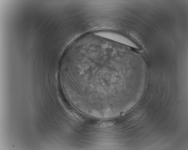 X0000067470491200604281858