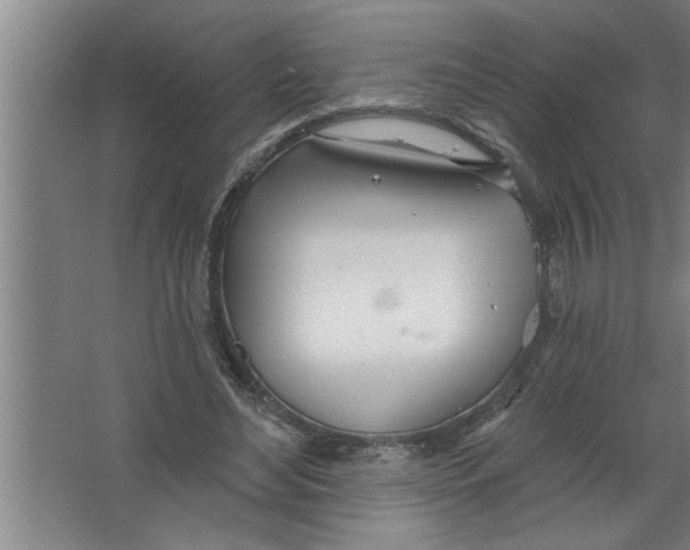 X0000067470492200604281858