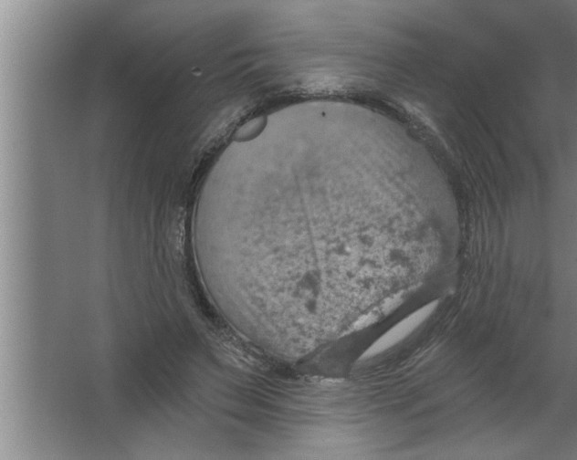 X0000067470495200604281858