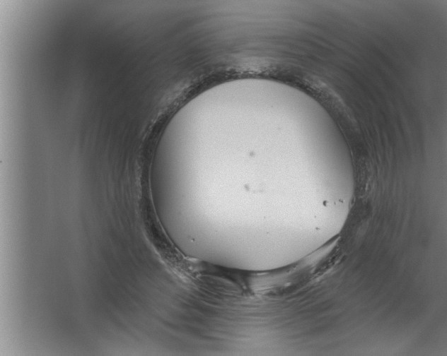 X0000067470496200604281858