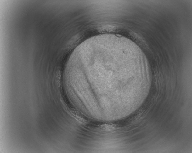 X0000067470498200604281858