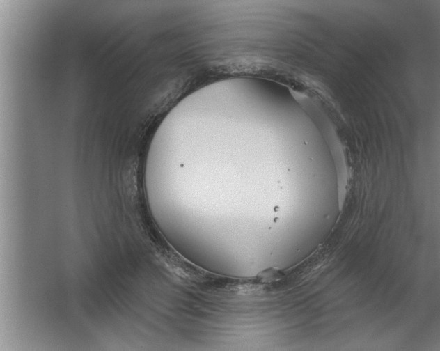 X0000067470501200604281858