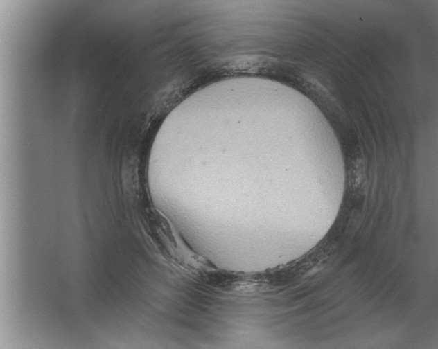 X0000067470504200604281858