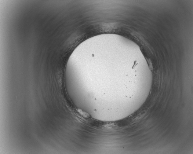 X0000067470505200604281858