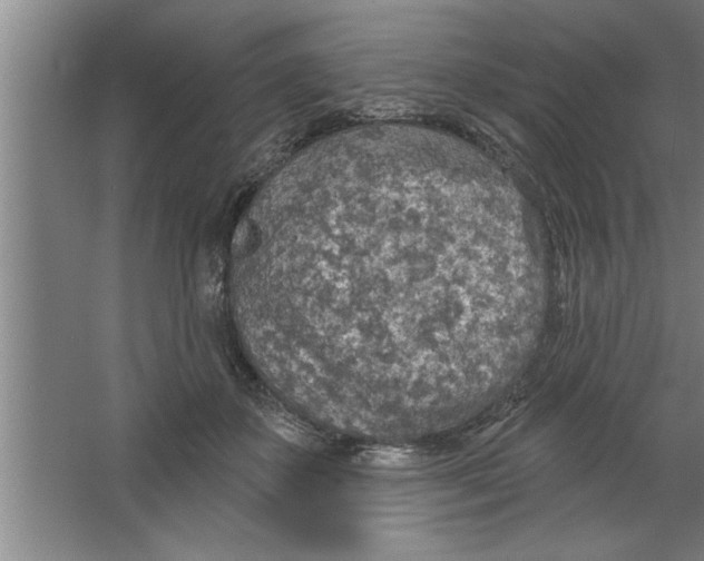 X0000067470507200604281857