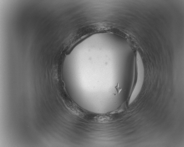 X0000067470512200604281857