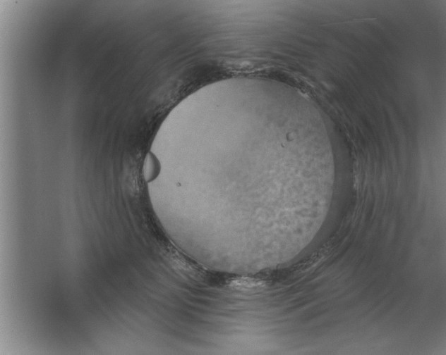 X0000067470515200604281857