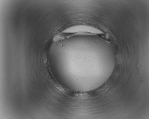 X0000067470517200604281857