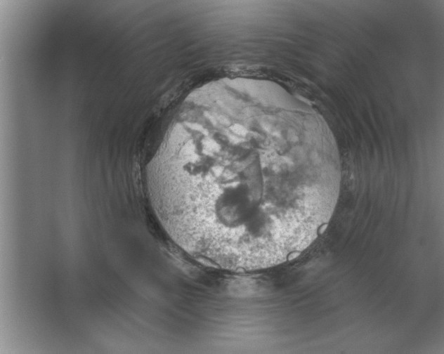 X0000067470523200604281857