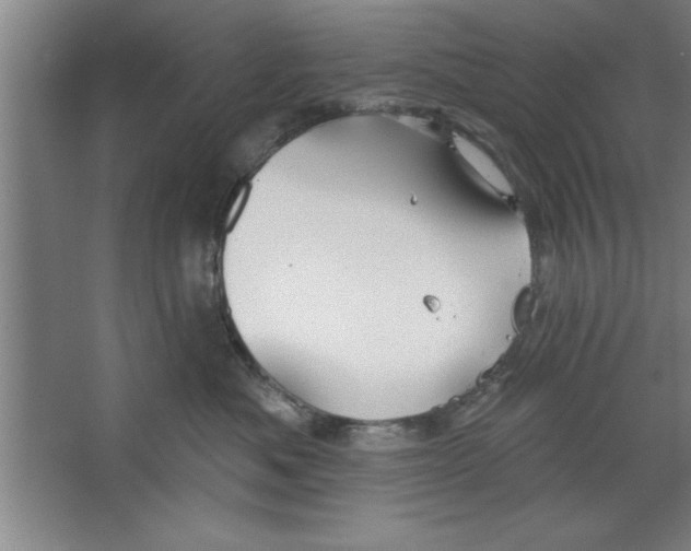 X0000067470525200604281857