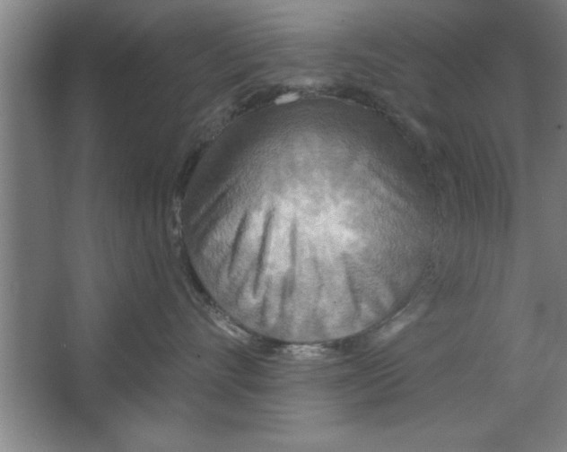 X0000067470528200604281857