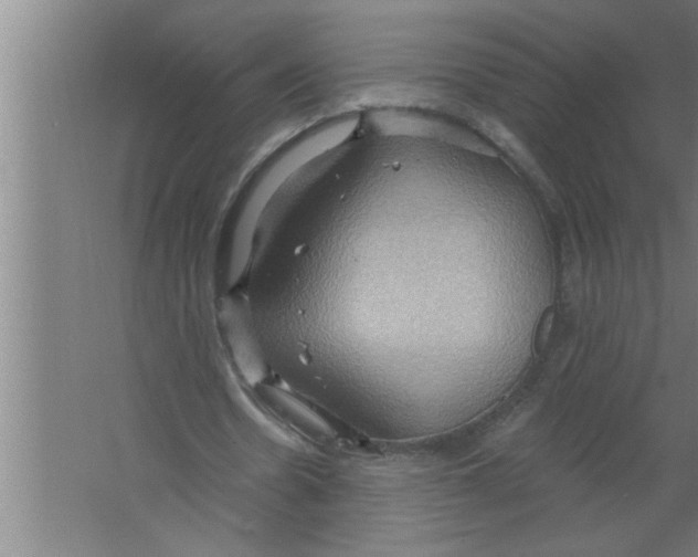 X0000067470530200604281856