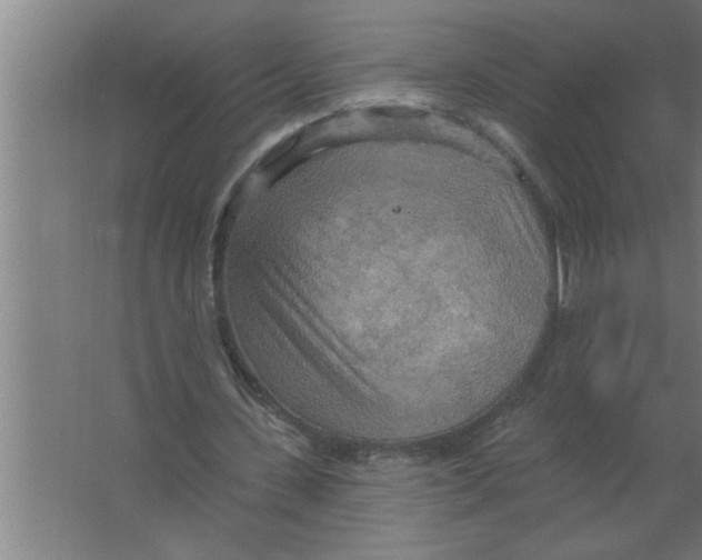 X0000067470531200604281856