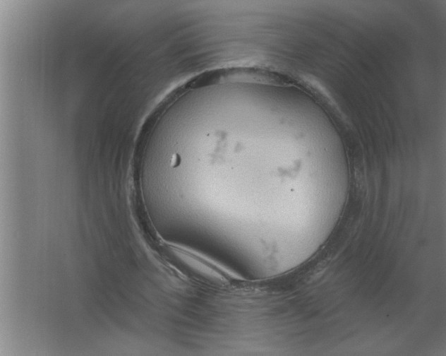 X0000067470532200604281856