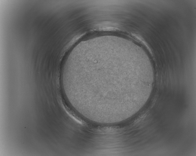 X0000067470533200604281856