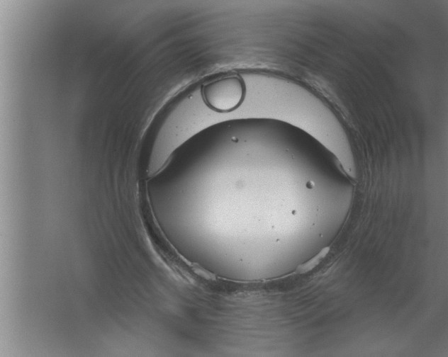 X0000067470534200604281856