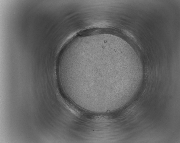 X0000067470535200604281856