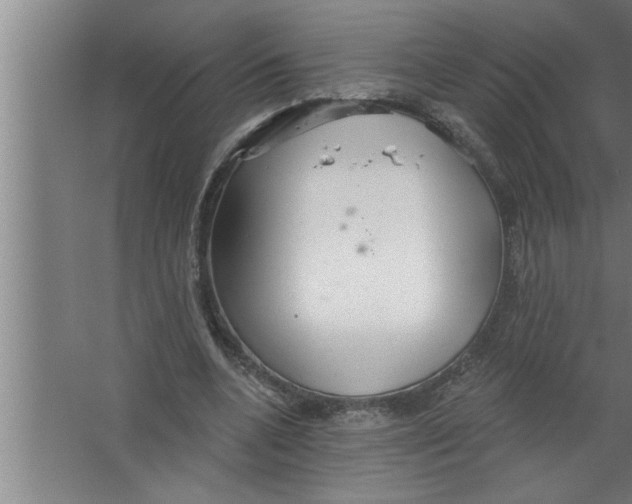 X0000067470536200604281856