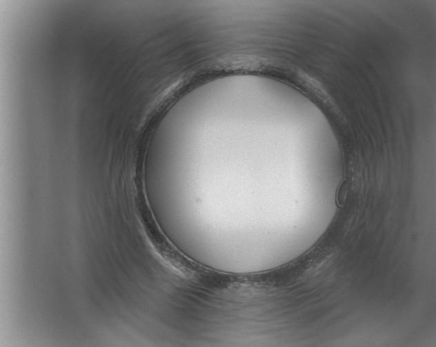 X0000067470538200604281856