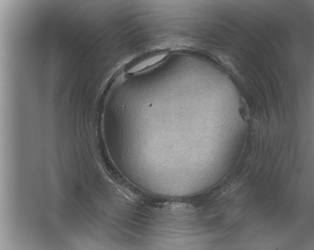 X0000067470539200604281856