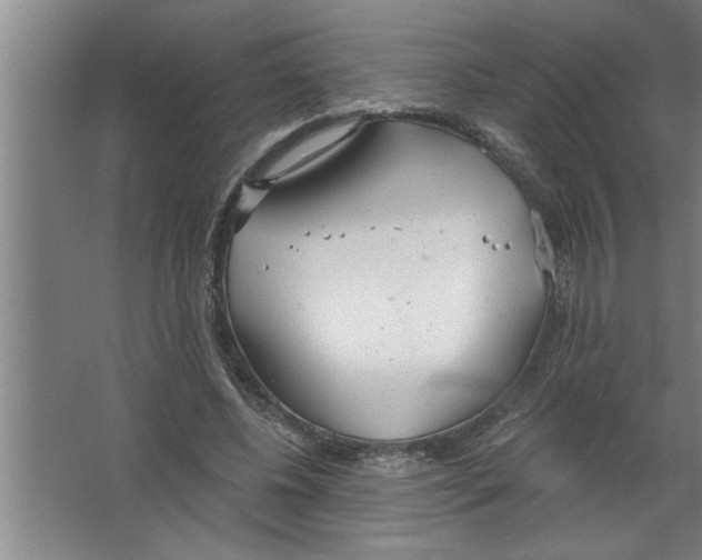 X0000067470540200604281856