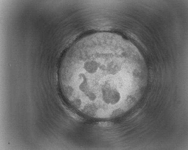 X0000067470541200604281857