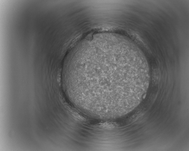 X0000067470545200604281857