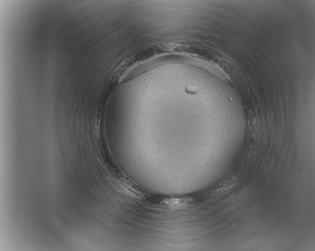 X0000067470558200604281857