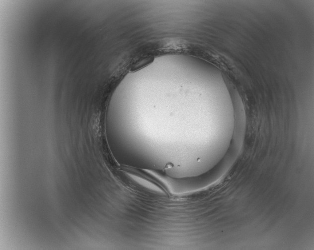 X0000067470560200604281857