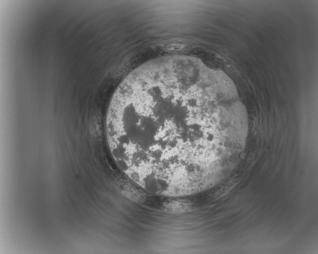 X0000067470561200604281857