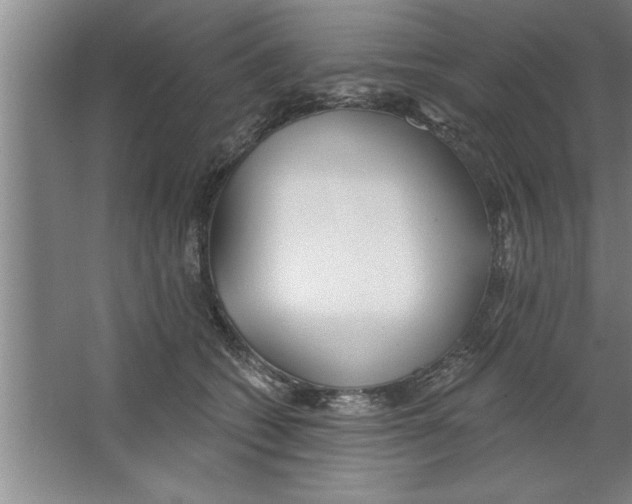 X0000067470562200604281857