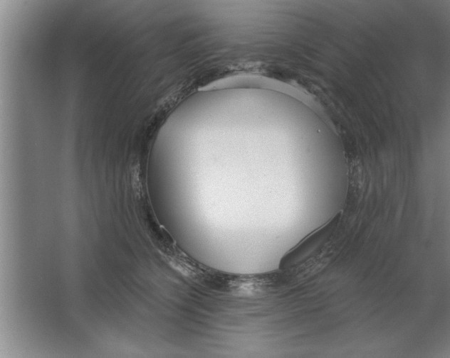 X0000067470564200604281857