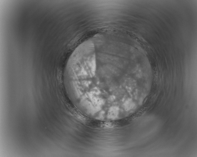 X0000067470565200604281857