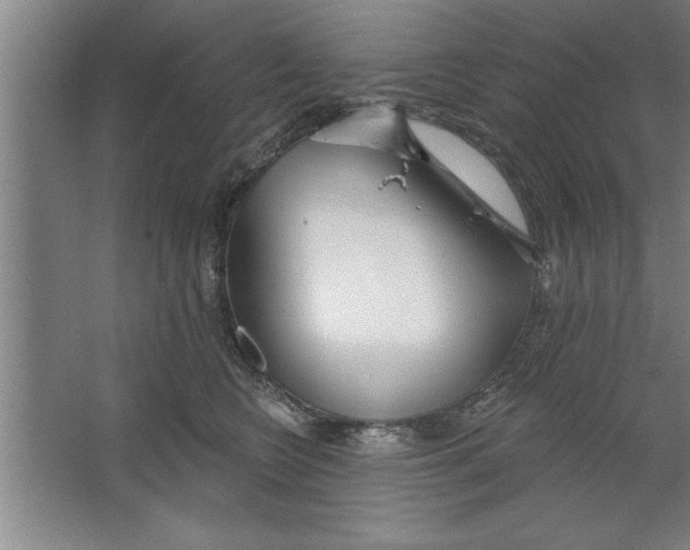 X0000067470566200604281857