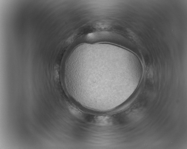 X0000067470570200604281857