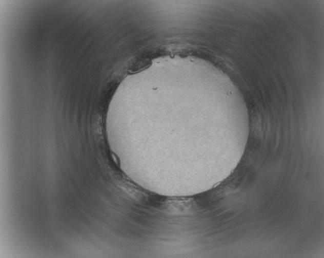 X0000067470571200604281857