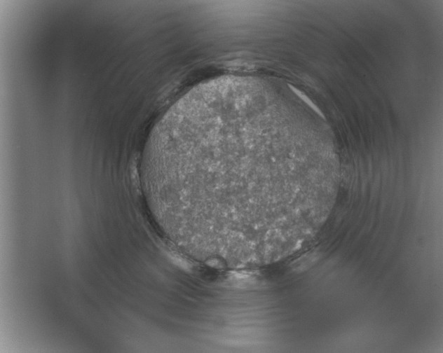 X0000067470573200604281857