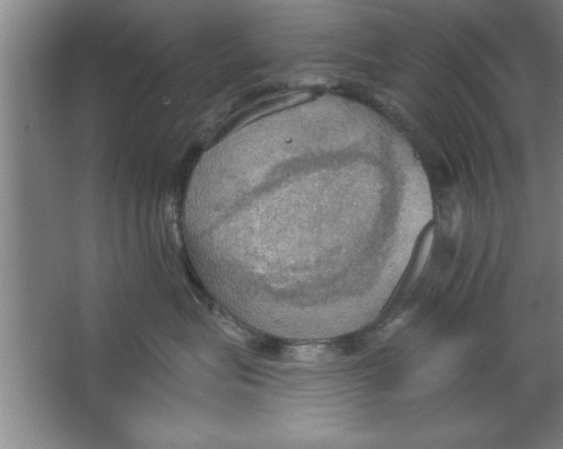 X0000067470575200604281857