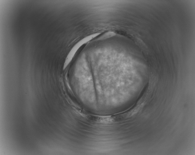 X0000067470576200604281857