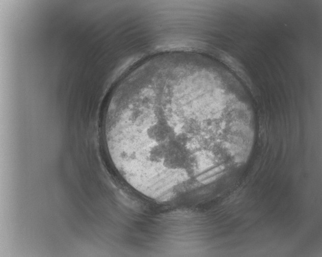 X0000067470578200604281856