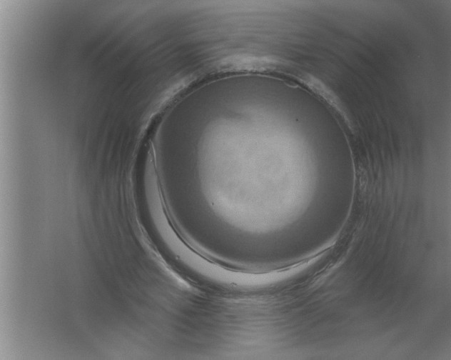 X0000067470581200604281856