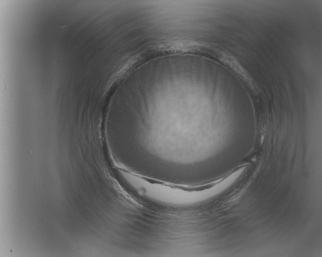 X0000067470585200604281856