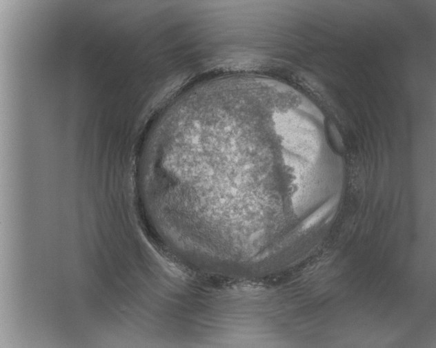 X0000067470586200604281856