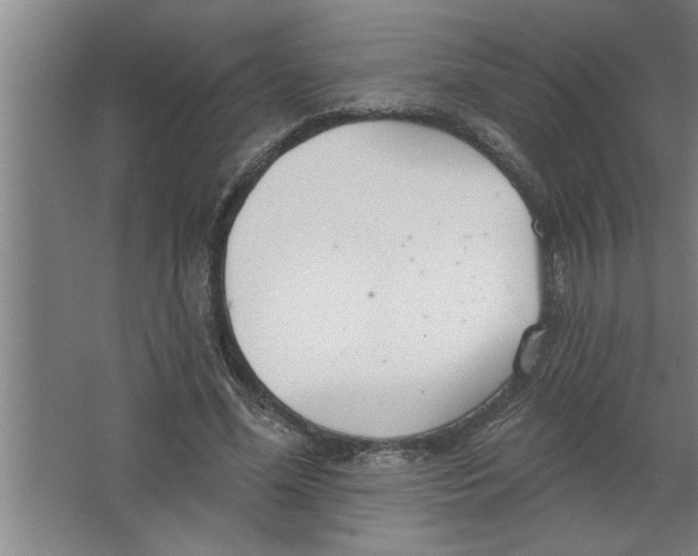 X0000067470588200604281856