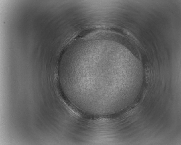 X0000067470593200604281856